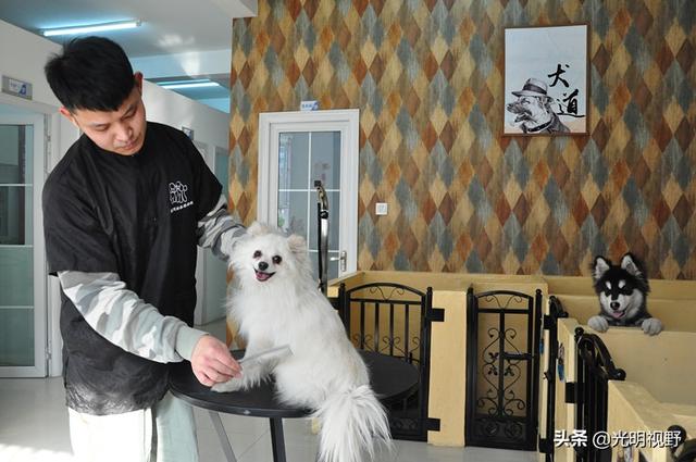 中国农业科学院硕士回乡开宠物酒店，房租一年十万当起大管家