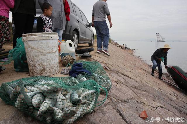 两男子胶州湾出海8小时钓得30多斤海鲈鱼光鱼章鱼，钓鱼苦钓鱼乐