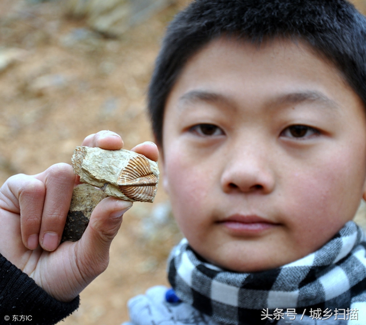 捡到化石该怎么处理？专家提醒：千万不要藏匿或买卖，请上交国家